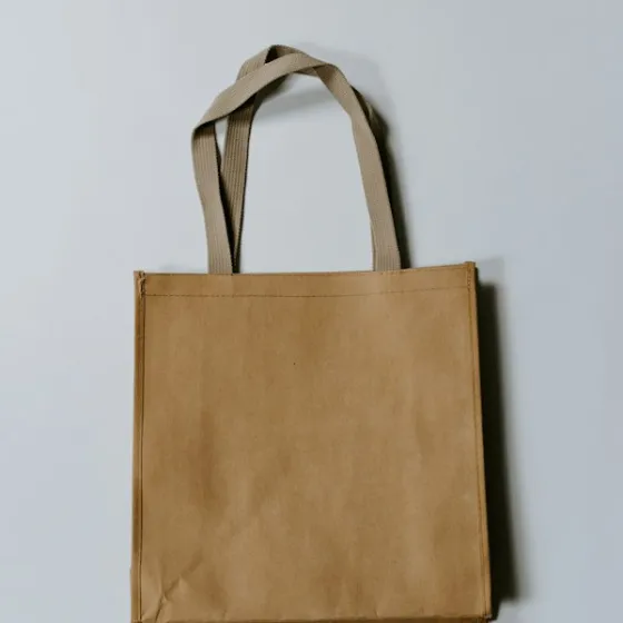 Everyday Canvas Tote